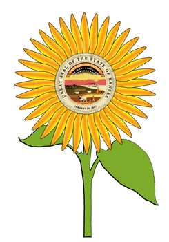 The head of a large sunflower plant isolated on a white background with the seal of the USA state of Kansas the sunflower state