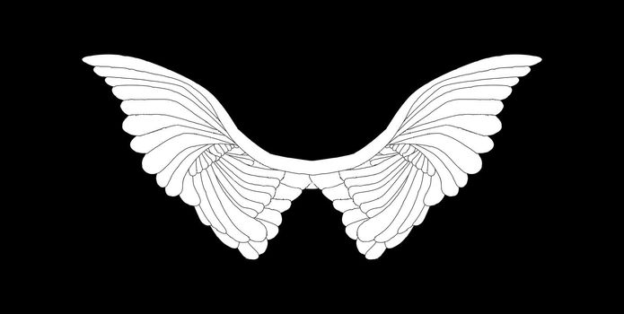 A large pair of white angelic wings spread over a black background