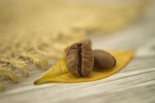 Roasted coffee beans and yellow leaf on wooden background. Macro photo