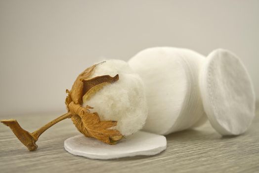 Stack of round embossed cotton pads and natural cotton stem boll. Organic cotton products