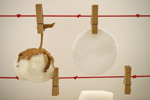 Round cotton pads and natural cotton boll hanging on laundry clips. Concept of reusable washable pads