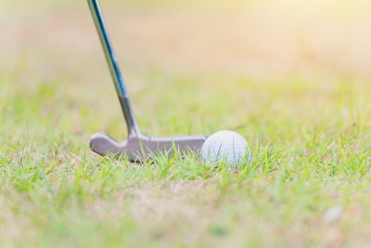 Closeup golf club and a white golf ball in the grass ready to the driver in tournament, outdoor sport