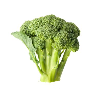 fresh green broccoli isolated on white background.