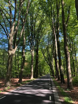 Road around Vorden in Gelderland, The Netherlands