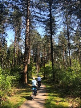 Couple cycling through the forest around Ommen in The Netherlands