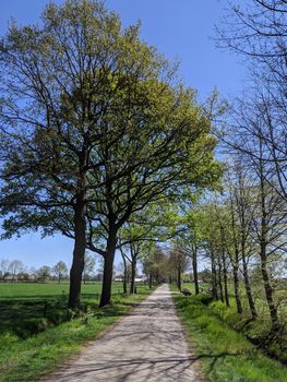 Road around Halle during spring in Gelderland, The Netherlands