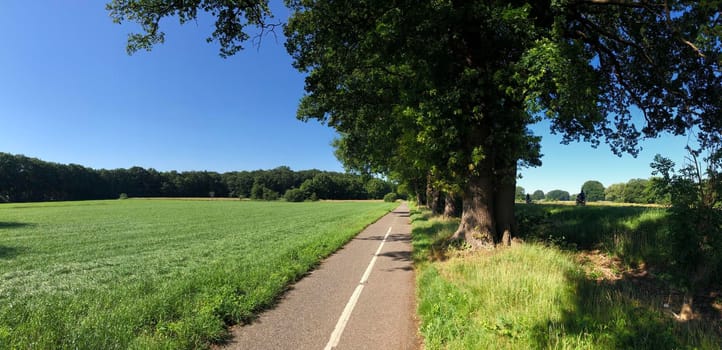 Panorama from bicycle path around the village Beerze in Overijssel The Netherlands