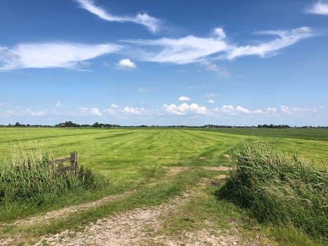 farmland around Schraard in Friesland, The Netherlands