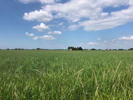 Farmland around Greonterp in Friesland, The Netherlands