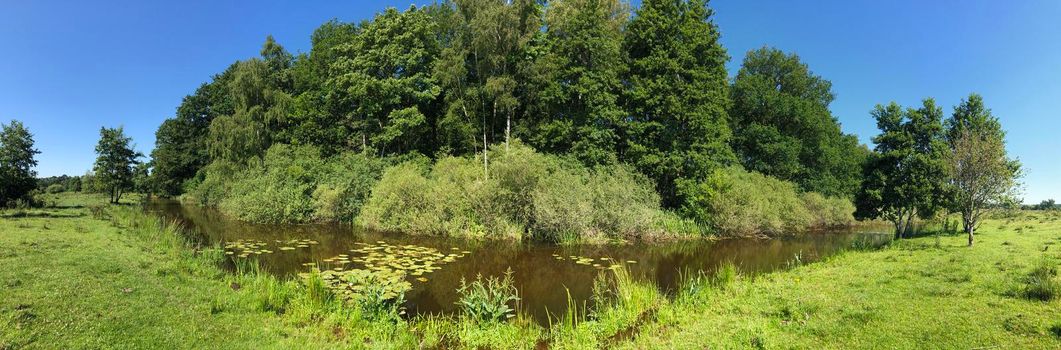 Panorama from the nature around Beerze in Overijssel The Netherlands