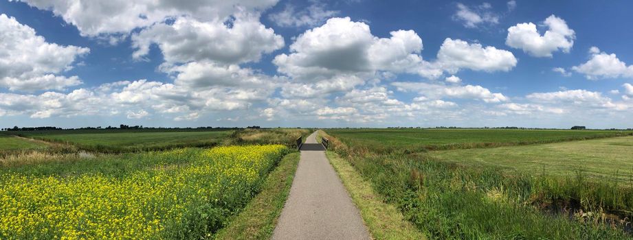 Panorama from around Oudega in Friesland, The Netherlands