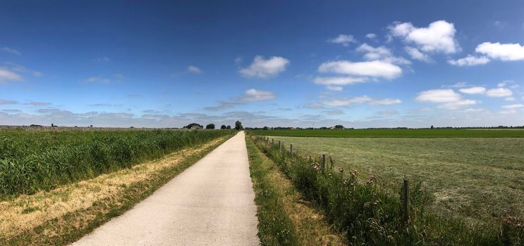 Panorama from a frisian landscape in The Netherlands