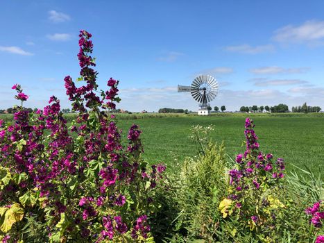 Windmill around the village Boazum in Friesland The Netherlands