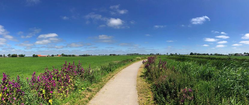 Panorama from cycle path through Friesland The Netherlands