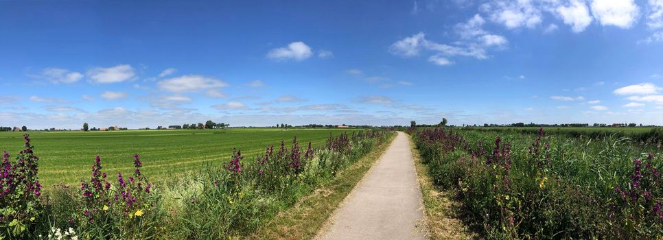 Panorama from cycle path through Friesland The Netherlands