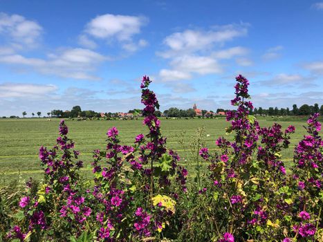 The village Easterwierrum in Friesland The Netherlands