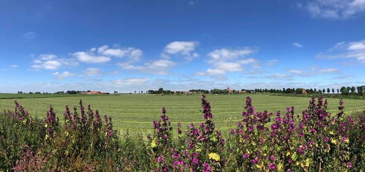 Panorama from farmland around the village Easterwierrum in Friesland The Netherlands