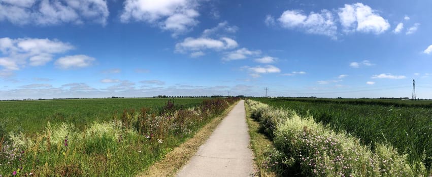 Panorama from a frisian landscape in The Netherlands