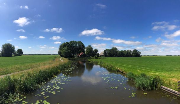 Canal with seeblatt in Friesland, The Netherlands