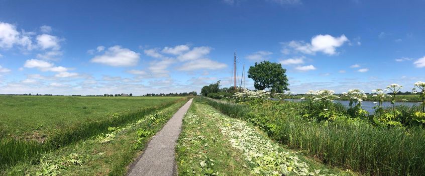 Bicycle path through Friesland in The Netherlands