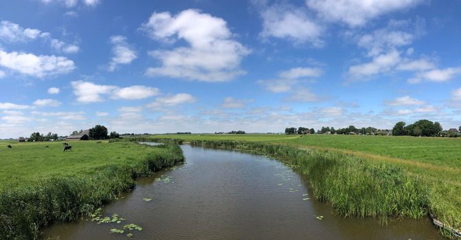 Panorama from Frisian landscape in The Netherlands