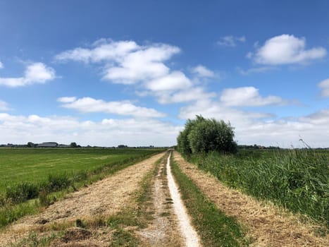 Path towards Hallum in Friesland The Netherlands