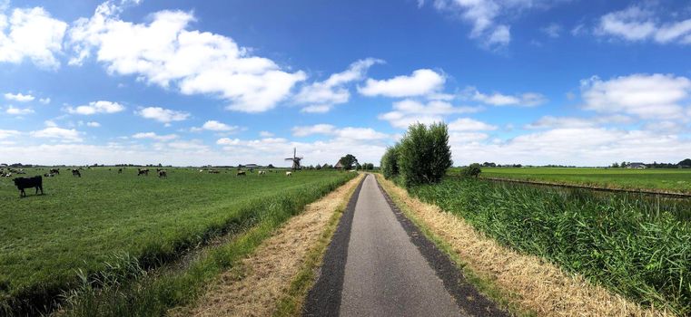 Frisian panoramic landscape around Hallum in The Netherlands