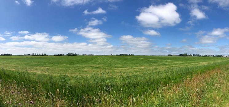 Panorama from farmland around Burdaard in Friesland The Netherlands