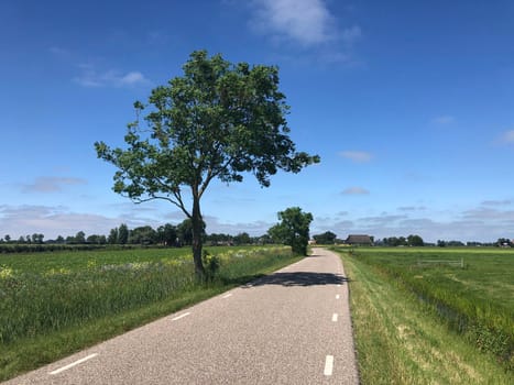 Road towards Burdaard in Friesland The Netherlands