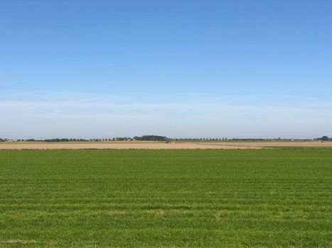 Farmland around Electra in Groningen, The Netherlands