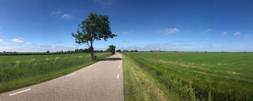 Panorama from a road towards Burdaard in Friesland The Netherlands