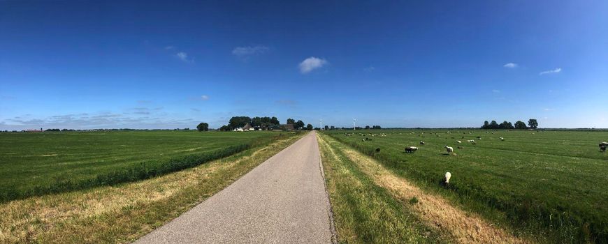 Panorama from farmland around Wyns in Friesland The Netherlands