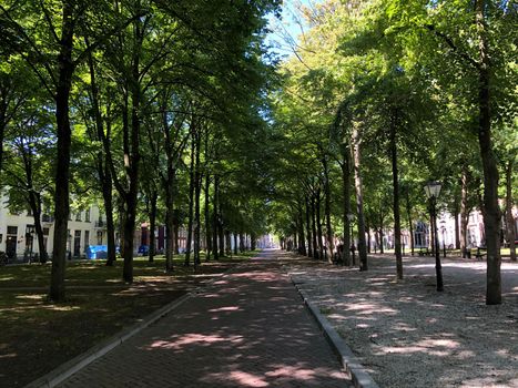 Park in The Hague, The Netherlands