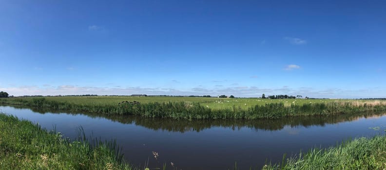 Panorama from a canal in between Bartlehiem and Aldtsjerk in Friesland, The Netherlands