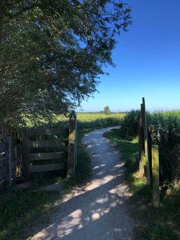 Path towards IJlst in Friesland, The Netherlands