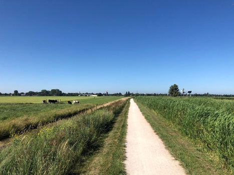 Path towards IJlst in Friesland, The Netherlands