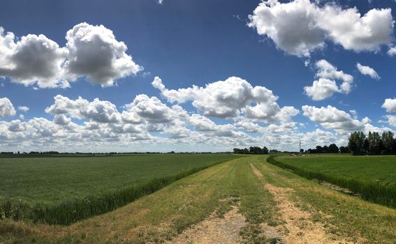 Panorama from farmland around Boazum in Friesland The Netherlands