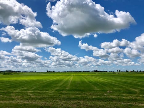 Farmland around Easterwierrum in Friesland The Netherlands