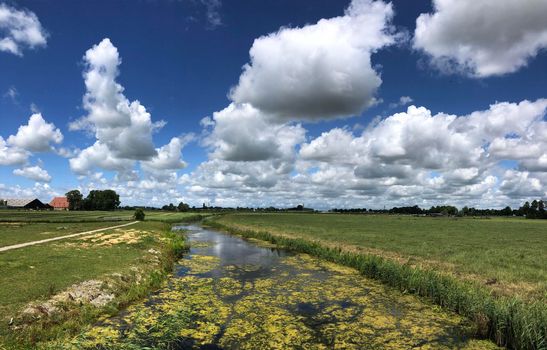 Canal and farmland around Boksum in Friesland The Netherlands
