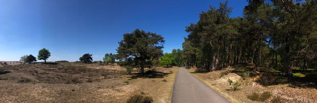 Path through National Park De Hoge Veluwe in Gelderland, The Netherlands