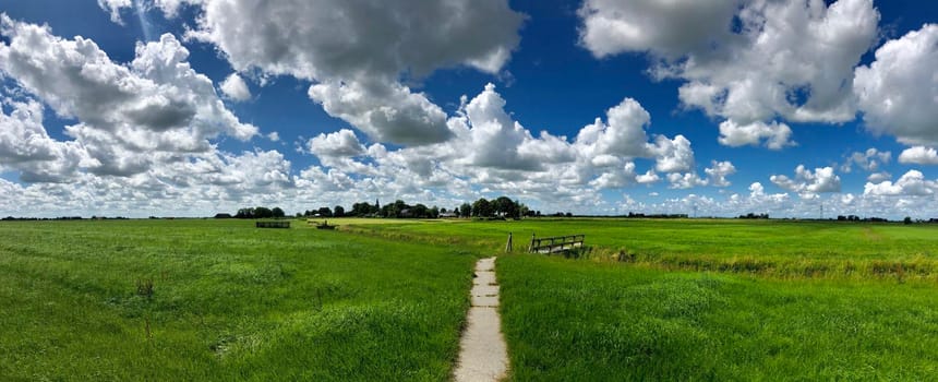 Path through farmland around Blessum in Friesland The Netherlands