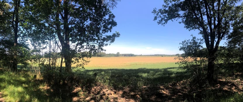 Farmland panorama around Junne in Overijssel, The Netherlands