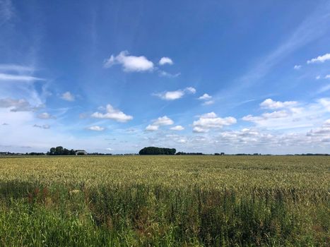 Farmland around Hijum in Friesland The Netherlands