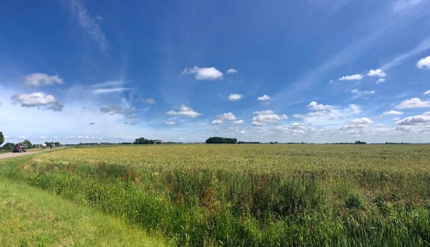 Farmland around Hijum in Friesland The Netherlands