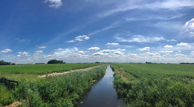 Farmland panorama in Friesland The Netherlands