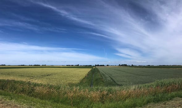 Farmland panorama around Oudebildtzijl in Friesland The Netherlands