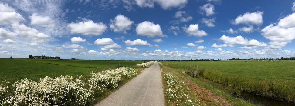 Panorama from a road through farmland around Wirdum, Friesland The Netherlands