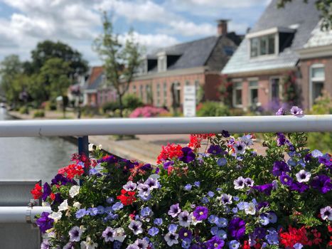 Flowers next to a canal in Warten, Friesland The Netherlands