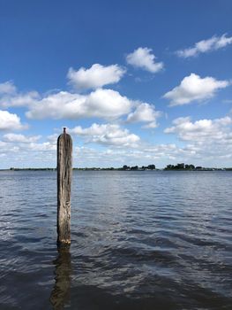 Pole in a lake in Friesland The Netherlands