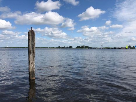 Pole in a lake in Friesland The Netherlands